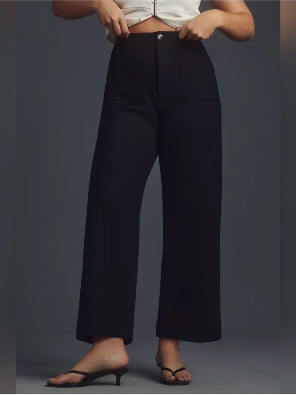 Anthropologie Maeve Colette Cropped Wide-Leg Pants: Ponte Edition Size 27